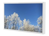 HI-ND Wall Casing EASY 43" Landscape - Asennuspakkaus (suojakotelo) malleihin LCD-näyttö - polykarbonaatti, jauhemaalattu metalli - valkoinen, RAL 9003 -näytön koko: 43" - seinään asennettava - jälleenmyyntiasiakkaille malleihin LG 43UH5F-H; Samsung QB43B, QB43R-B, QH43R, QM43B WC4300-0101-01
